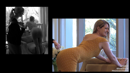 The Professional - Infidelity Part Two - Vol1